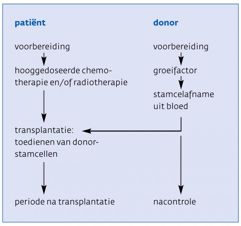 Allogene stamceltransplantatie