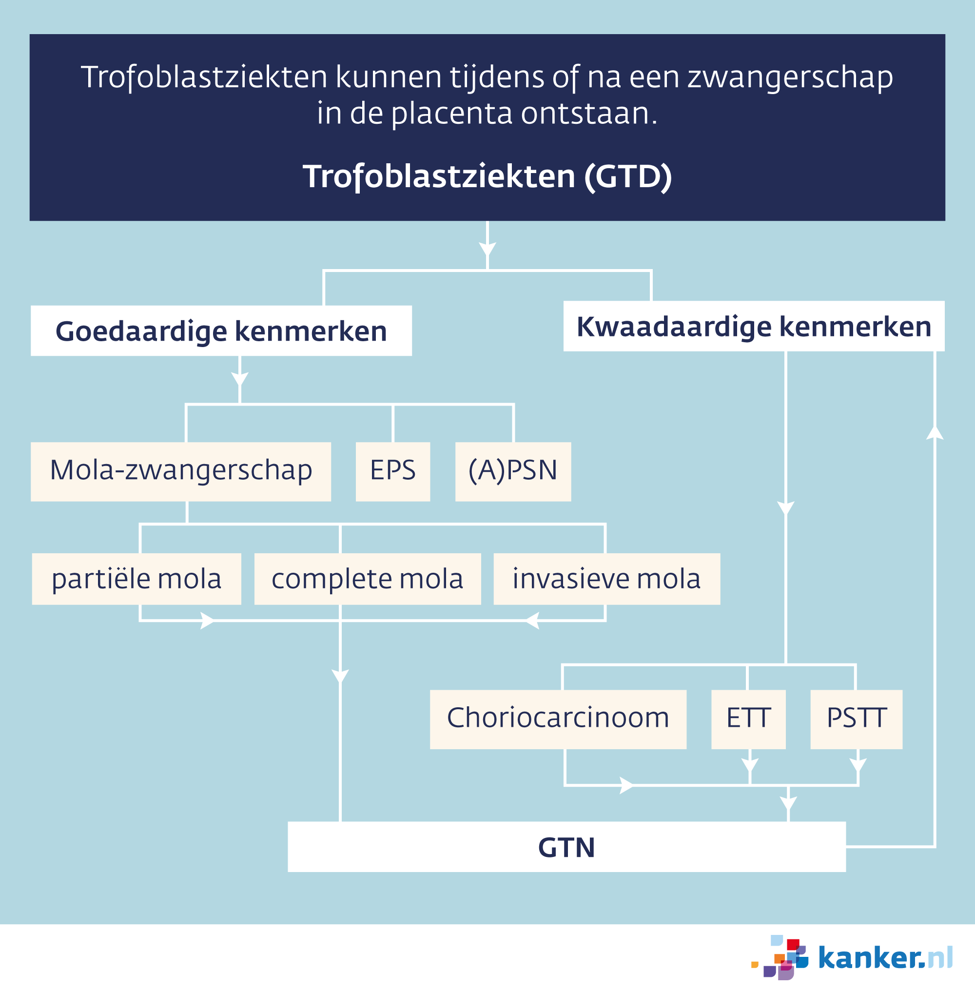 schema trofoblastziekten