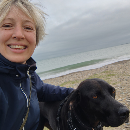 Pikorde van zieligheid