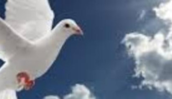 Hoe alles in één keer veranderen kan..