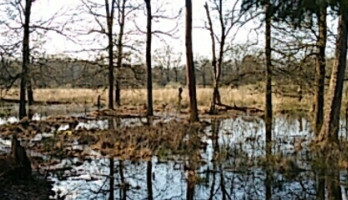 Mijn ervaring met plasmacytoma 