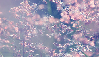 Van de diagnose stress naar de diagnose kanker