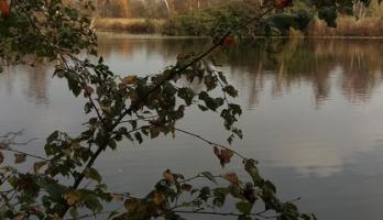 Kanker en mijn leven.