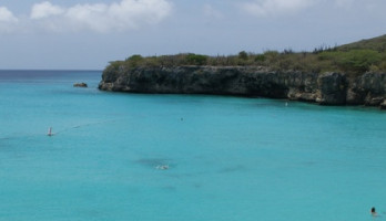 42 en endeldarmkanker