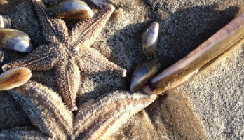 Leven zal nooit meer hetzelfde zijn 