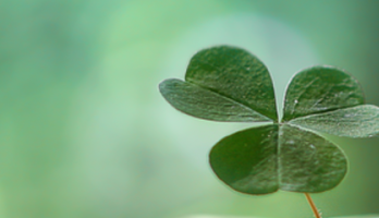 Klote!!!!.....en dat is het! 