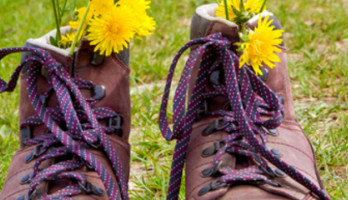 Stap voor stap komen we er wel!!