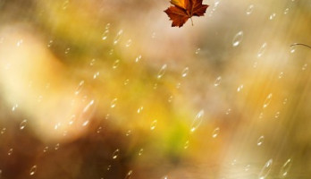 Papillaire schildklierkanker - Plots  ben ik dus aan de beurt