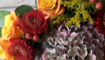 Diagnose darmkanker en dan............