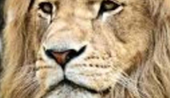 Doodvonnis, but not today!