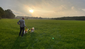 Onze laatste vakantie in Olst 2021