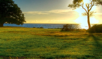 Terugkeer van baarmoederhalskanker.