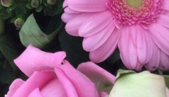 Nooit gedacht, toch gekregen....borstkanker.