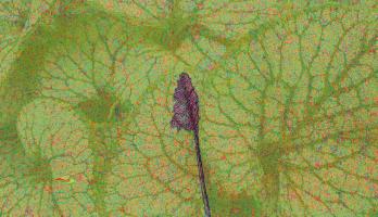 Daar sta ik dan, alleen, in het middelpunt... Hoeveel steun ik ook krijg, ik zal het zelf moeten doen. En er mee moeten leren leven.