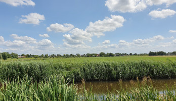 In de natuur wordt je weer mens