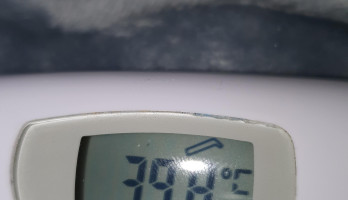 Koortsig opzoek naar antwoorden 