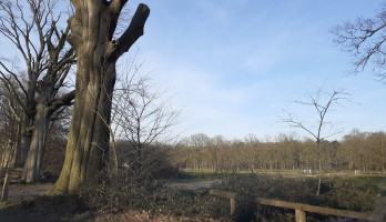 Hoofd leegmaken na de negatieve berichten.  Was hard nodig.