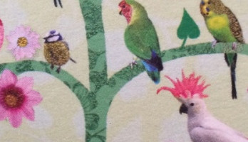 Kanker heeft bestaansrecht in mijn leven