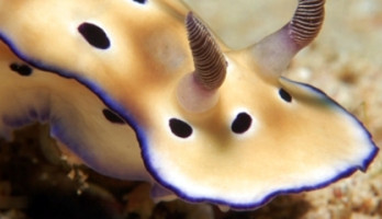 constatering behandeling van mijn prostaatkanker