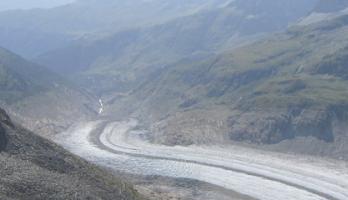 Alvleesklierkanker! En wat nu?