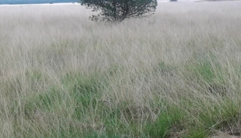 Hoe nu verder? Leven met onzekerheid