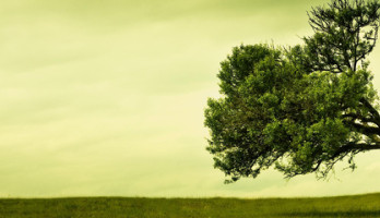 MIjn partner kreeg een hersentumor.