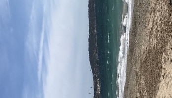 "Je hebt een infectie of leukemie"