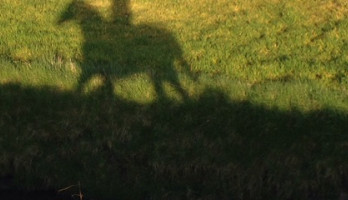 Mijn lichaam is ziek en ik wist het niet 