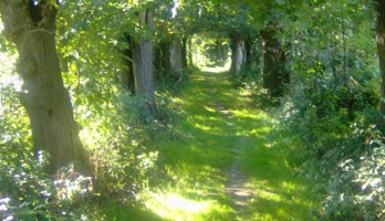 pluk de dag en geniet van het heden