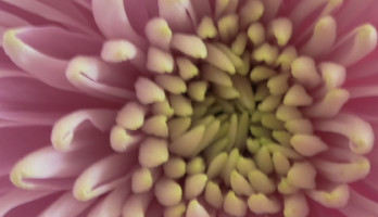 Een rollercoaster aan emoties....