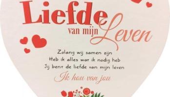 Liefde van mijn leven