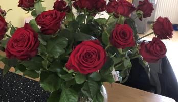 Rode rozen , een teken van liefde. 