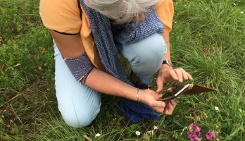 Genieten van kleine dingen