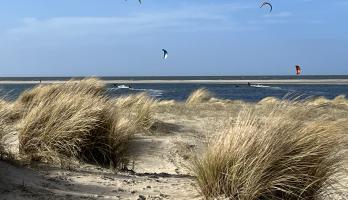 Duinen en zee
