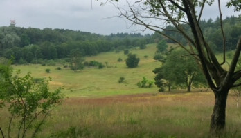 De foto is niet helemaal scherp, maar mijn leven is op dit moment ook een beetje wazig ☺️