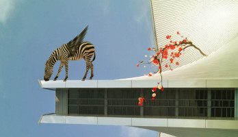zebra naast en plant op het eye museum