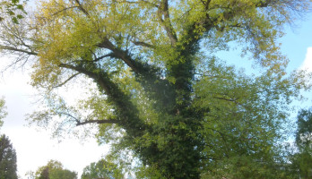 blijven geloven in jezelf en de natuur