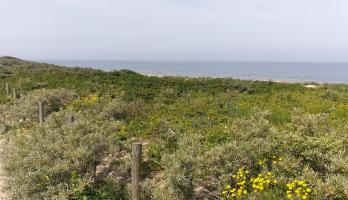 foto Kijkduin tijdens een mooie zomerochtend wandeling
