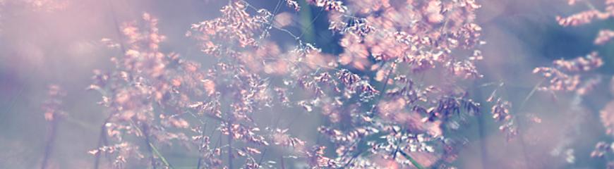 Van de diagnose stress naar de diagnose kanker