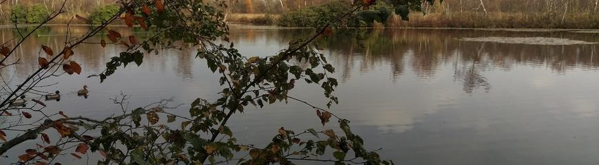 Kanker en mijn leven.