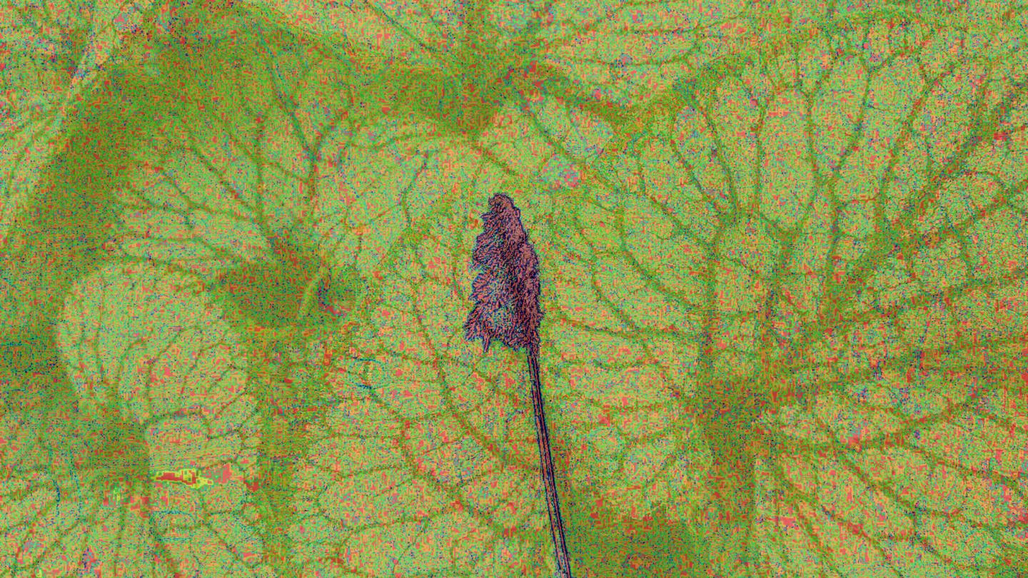 Daar sta ik dan, alleen, in het middelpunt... Hoeveel steun ik ook krijg, ik zal het zelf moeten doen. En er mee moeten leren leven.