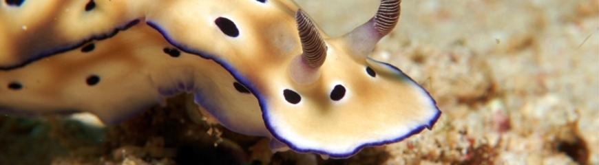 constatering behandeling van mijn prostaatkanker