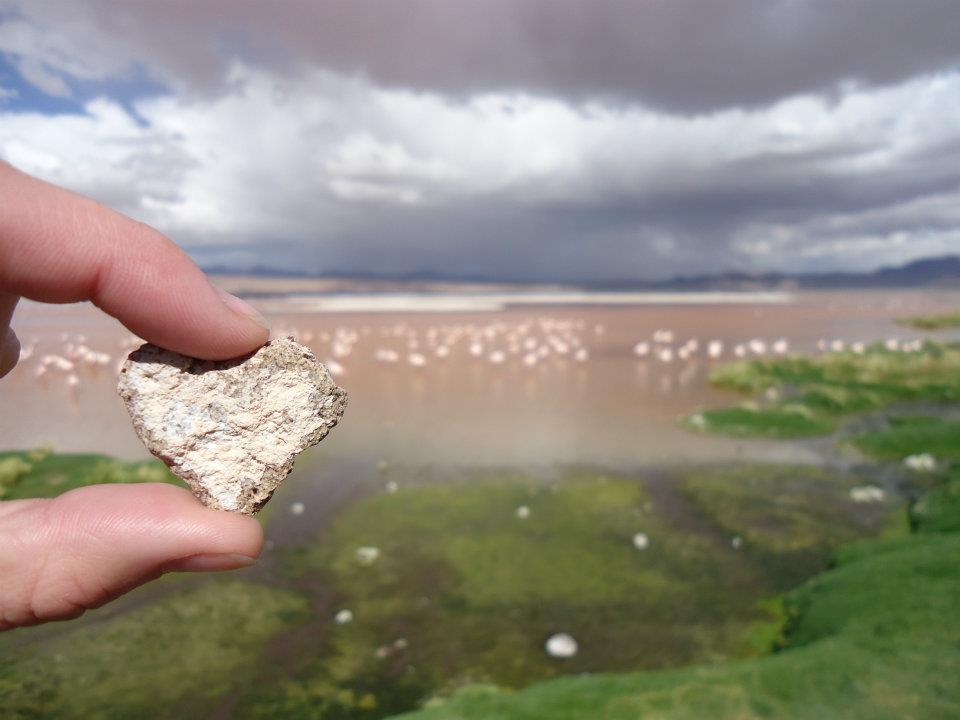 Op de voorgrond een steentje in de vorm van een hart met op de achtergrond flamingo's in een zoutmeer in Bolivia