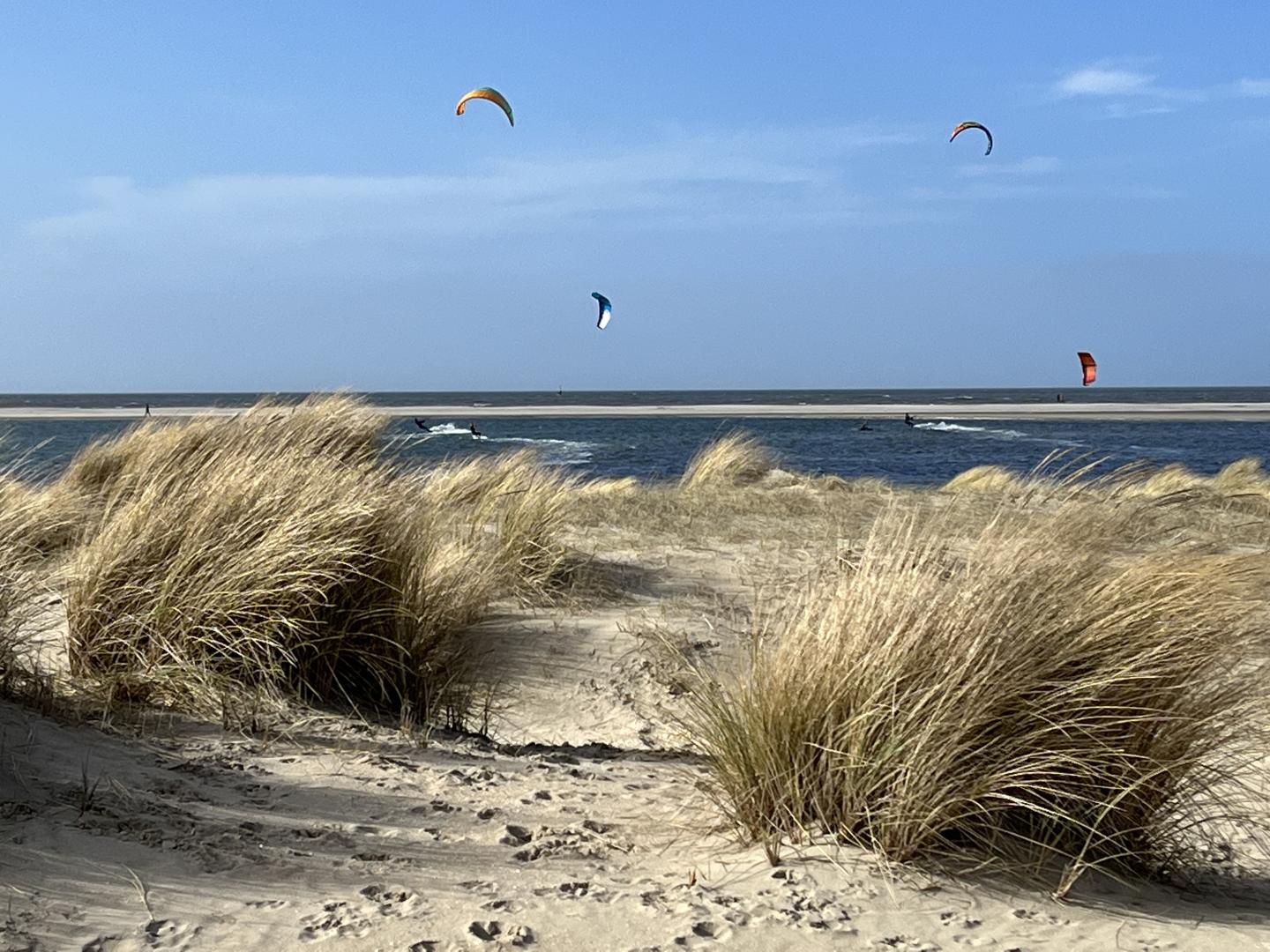 Duinen en zee