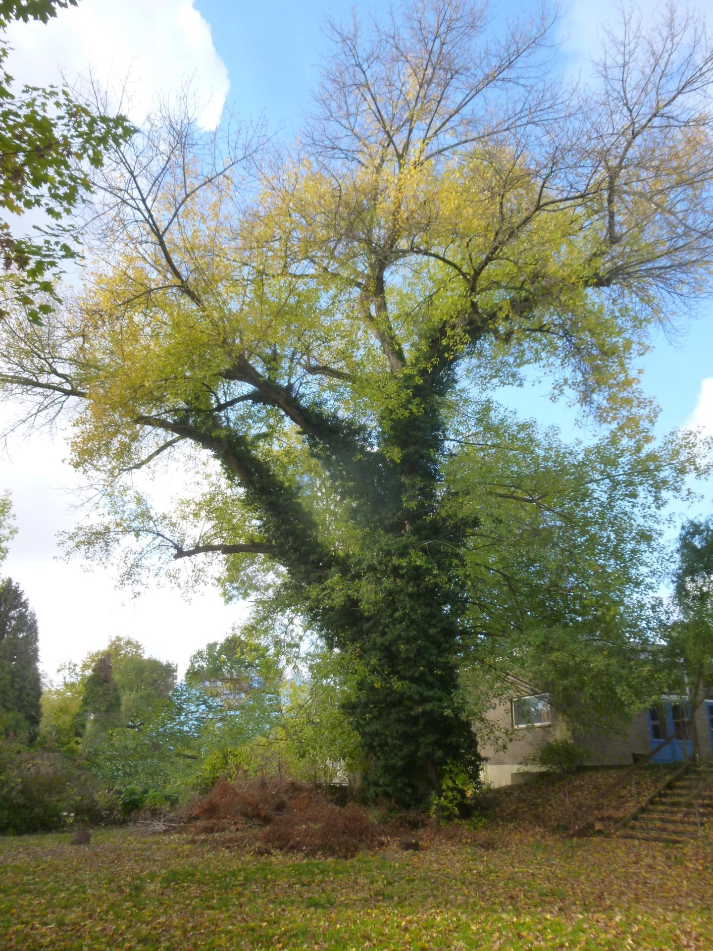 blijven geloven in jezelf en de natuur
