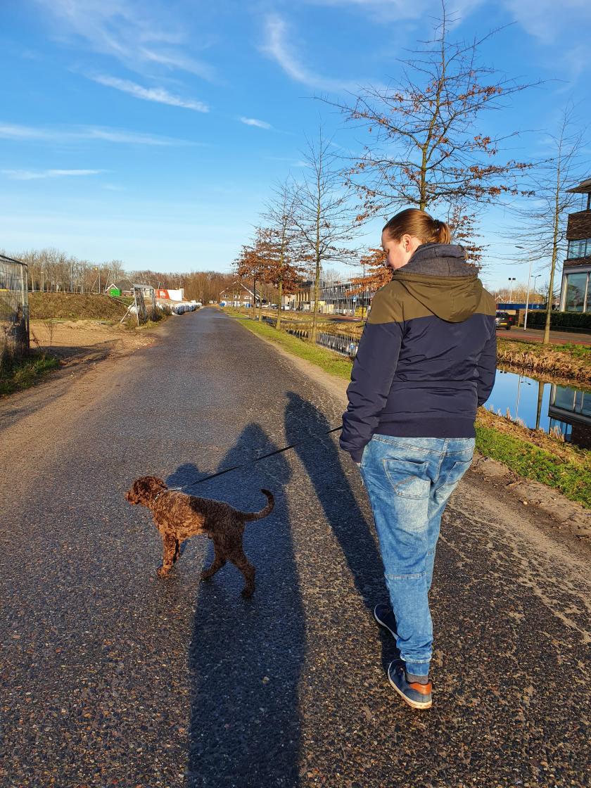 Oud en nieuw, 2019-2020, het jaar dat van ons moest zijn