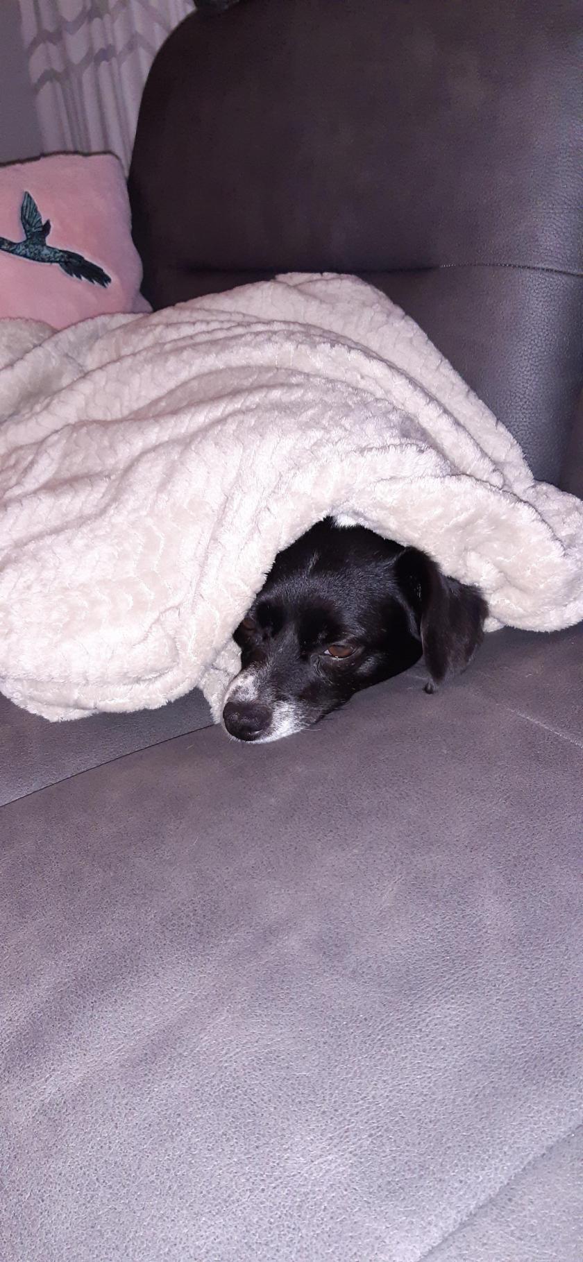 In 2014 borstkanker gehad, nu 9 jaar later kanker in mijn pink met uitzaaiing in mij  oksel. Klier in oksel is weggehaald en pink is helemaal weggehaald.