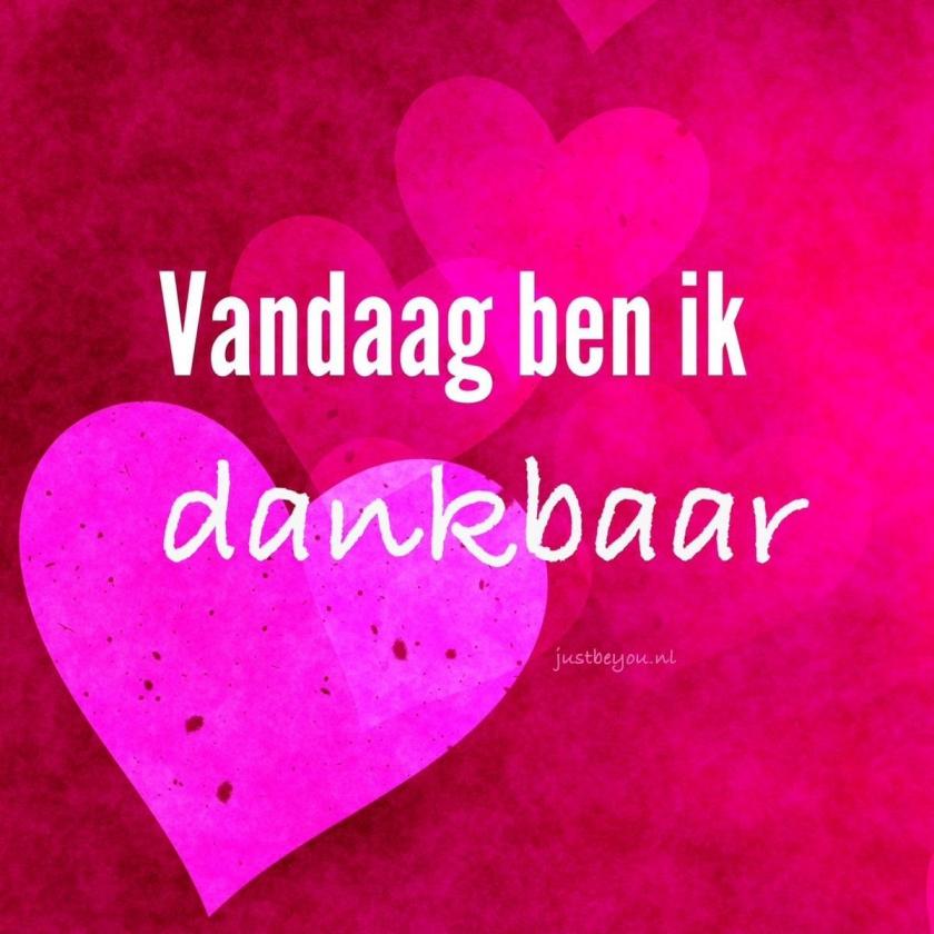 3 WEKEN VERDER EN HOE GAAT DAT DAN MET ZO’N NIEUWS OVER DE 20 UITZAAIINGEN IN MIJN HOOFD? Toch maar even vertellen ….