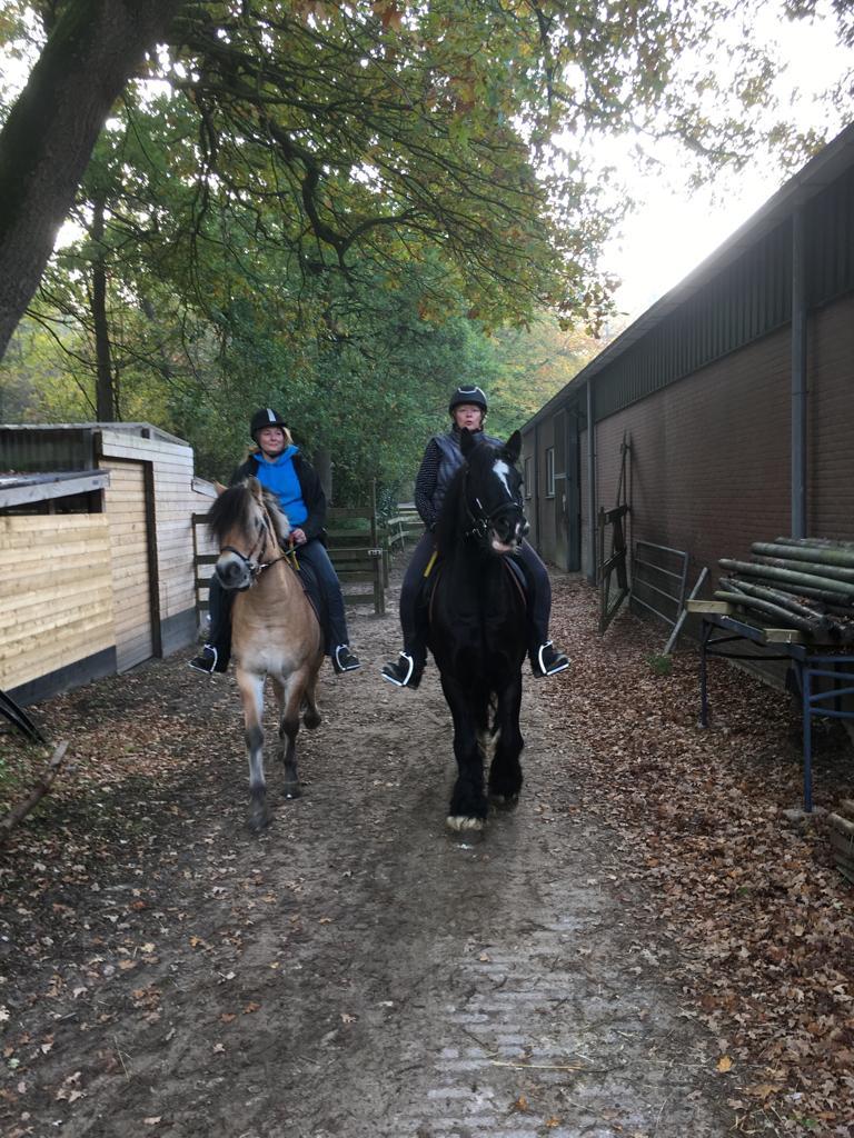 Mijn passie zijn paarden en hier ga ik na lange tijd weer een buitenrit maken Boston van de Princes Maxima manege waar ik als vrijwilleger werk