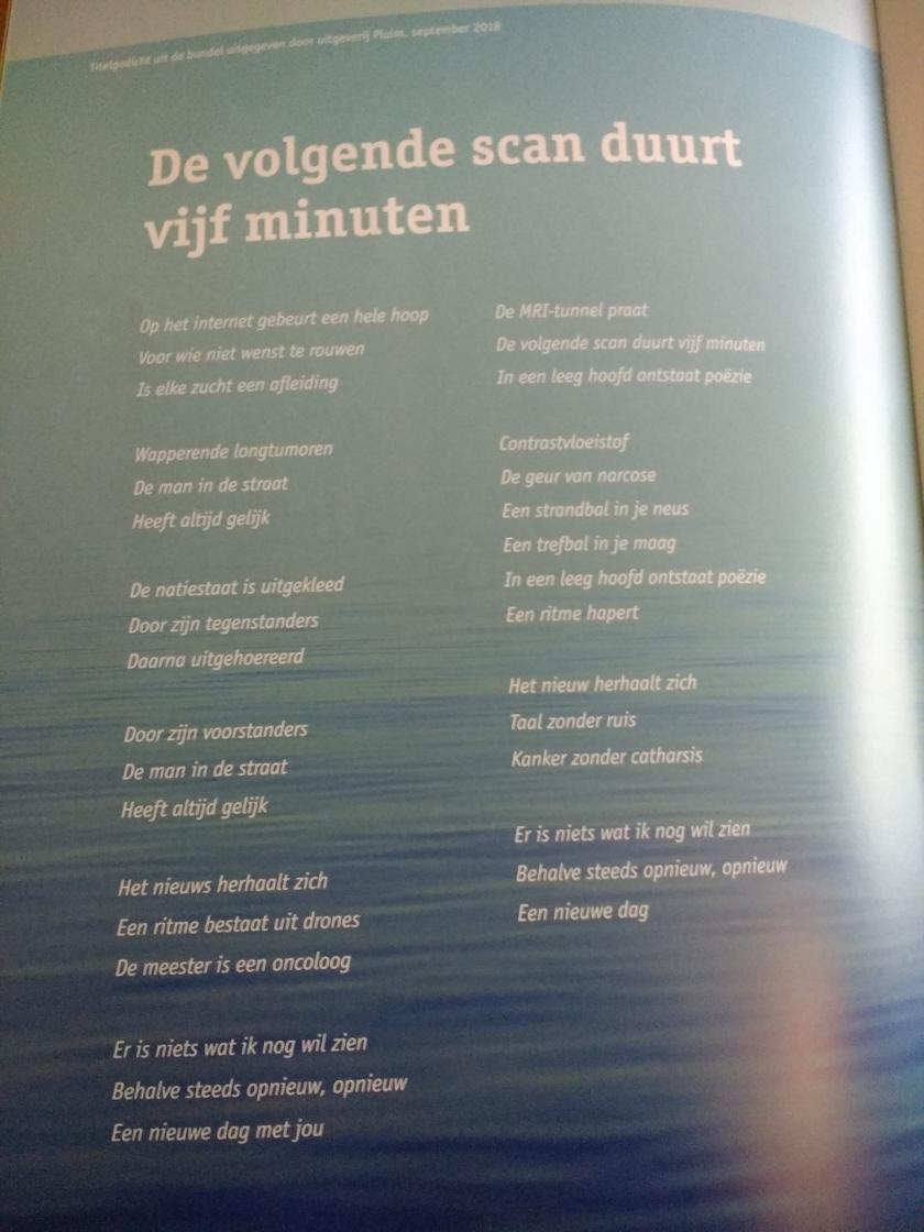 Gedicht Lieke Marsman